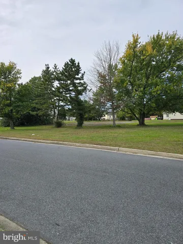 a view of a big yard with a large trees
