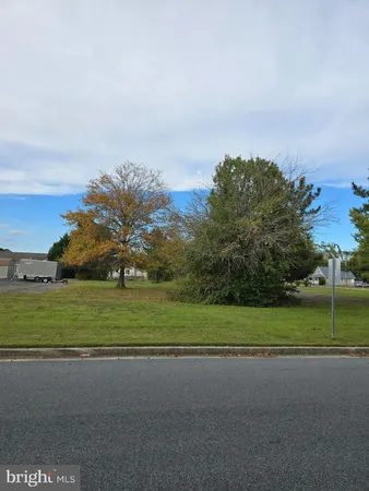 a view of a field of grass and trees