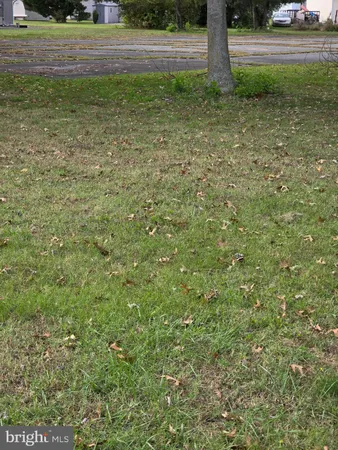 a view of a yard