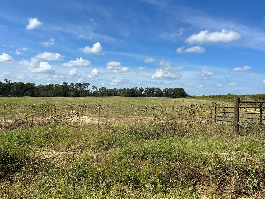 20.33-ac Sewell Road Dothan, AL 36301 - Photo 5 of 36