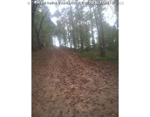 0 Lynn Fork Road Elkview, WV 25071 - Photo 14 of 15 Land.