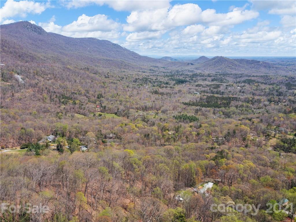 222 Valley View Lane Tryon, NC 28782 - Photo 39 of 44 Gallery Image 39