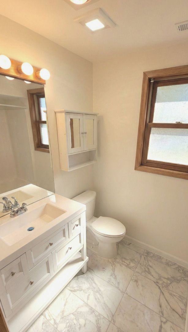 445 West 37th Street, Unit 1 Chicago, IL 60609 - Photo 12 of 13 a bathroom with a sink a toilet and mirror
