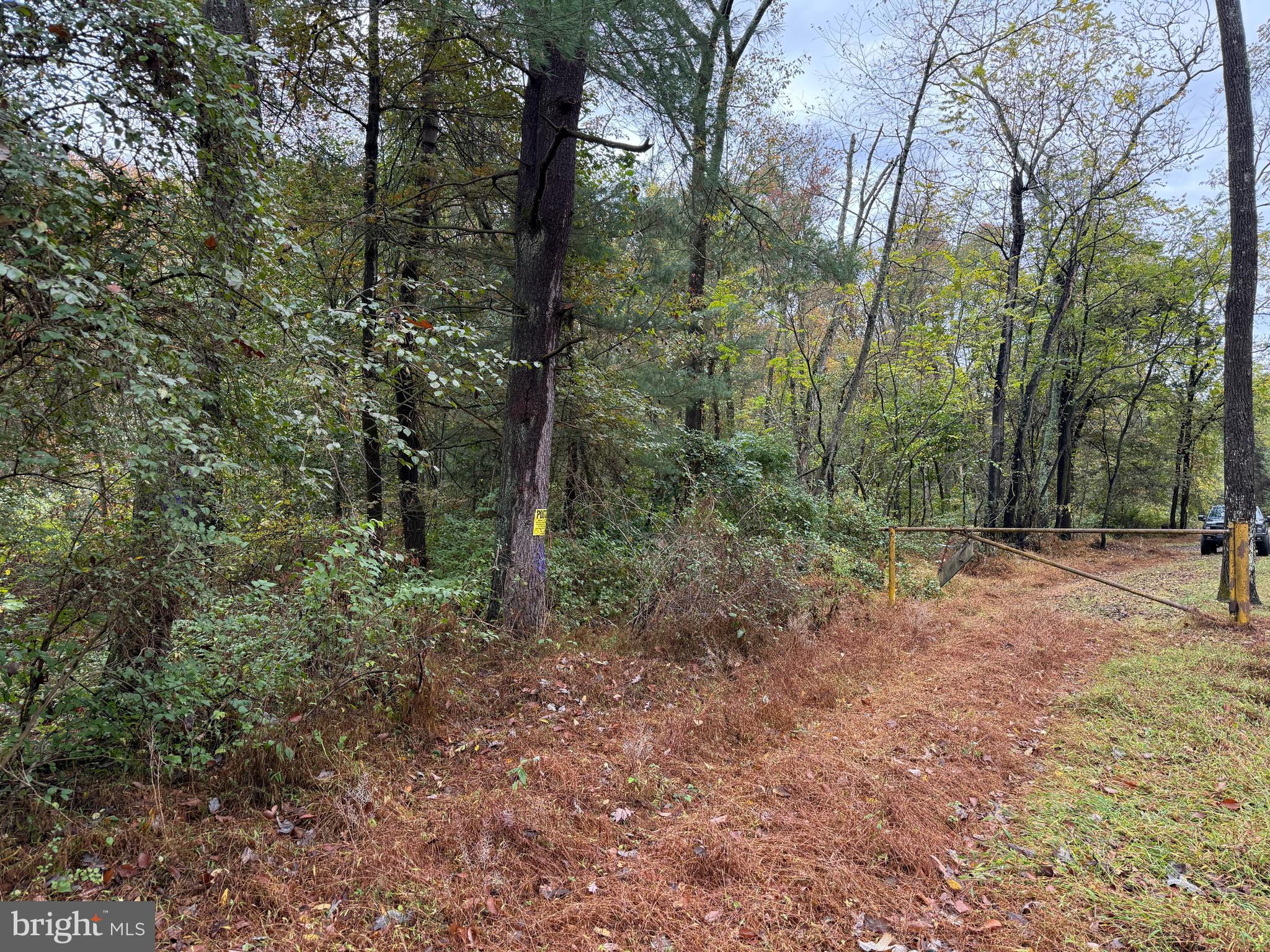 East Locust Street Mount Holly Springs, PA 17065 - Photo 11 of 13 a view of a forest with trees