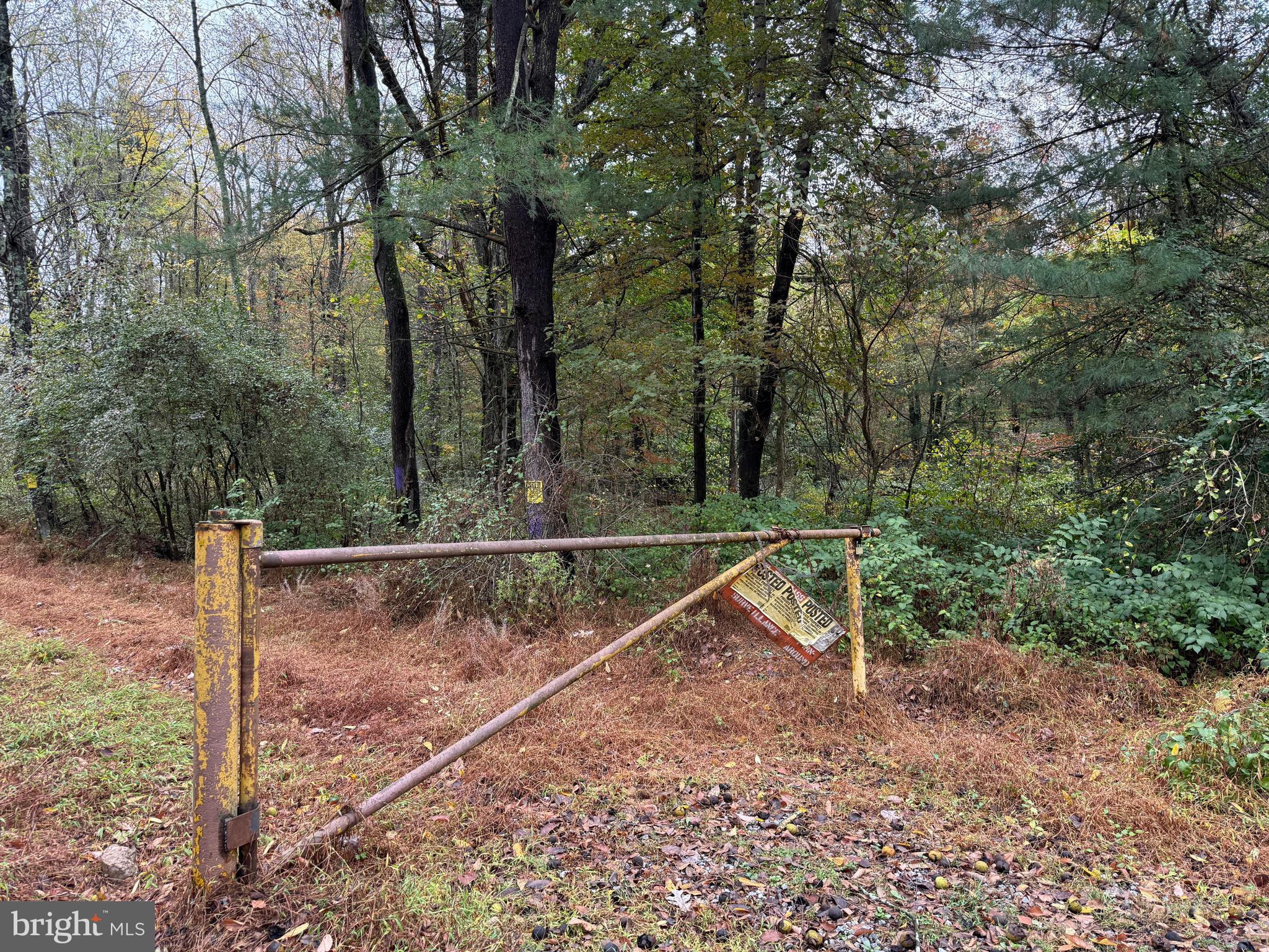 East Locust Street Mount Holly Springs, PA 17065 - Photo 12 of 13 a view of a backyard