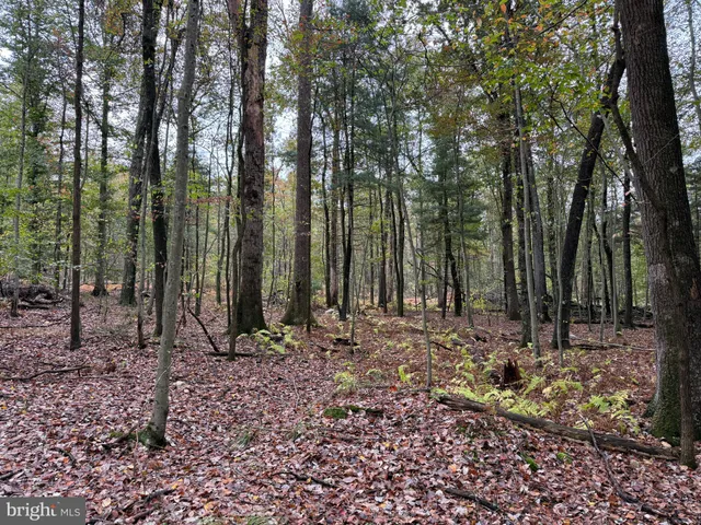 a view of a backyard with lots of green space