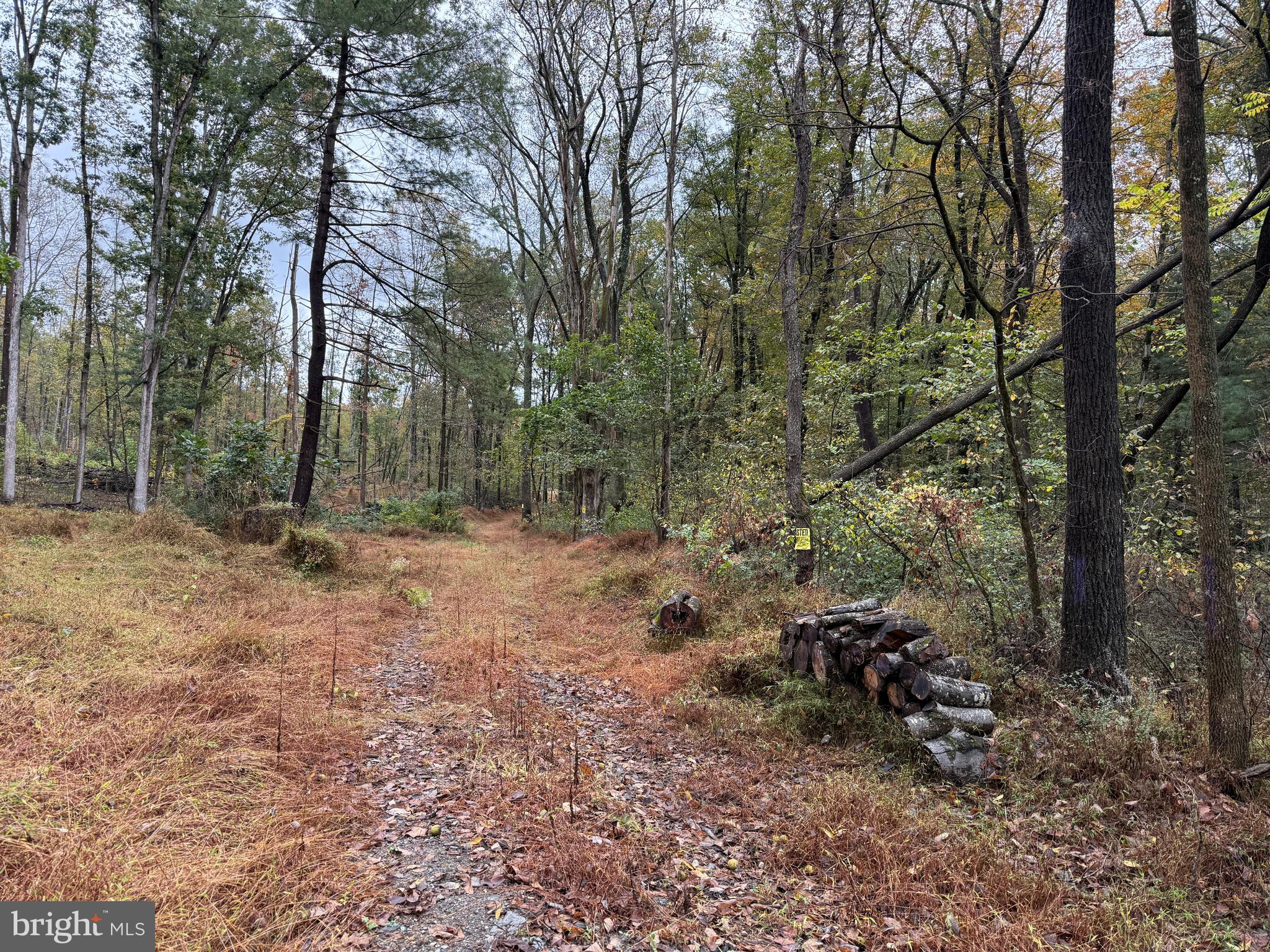 East Locust Street Mount Holly Springs, PA 17065 - Photo 5 of 13 a view of a forest with trees in the background