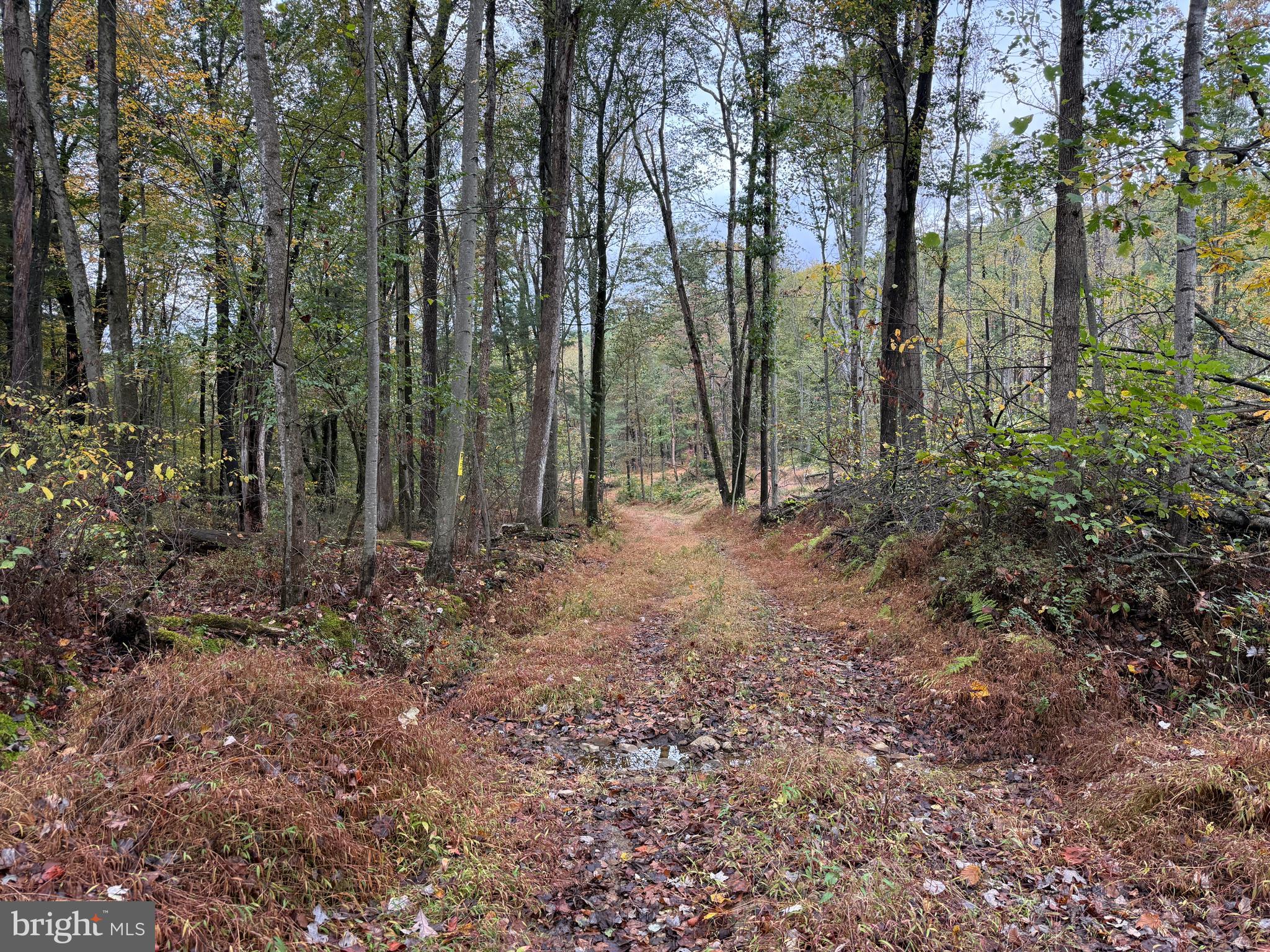 East Locust Street Mount Holly Springs, PA 17065 - Photo 8 of 13 a view of outdoor space and green space
