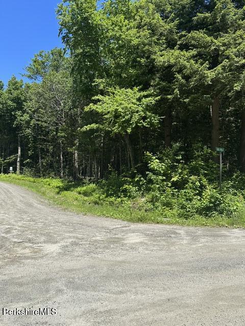 Lot108.1 Woodmere Road Becket, MA 01223 - Photo 6 of 11 Front Cross Road - Longview Dr