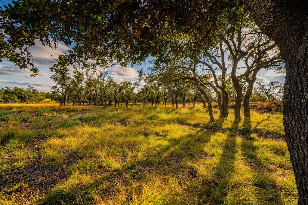 Lot 50 Reservation Road, Unit 50 Harper, TX 78631 - Photo 1 of 5 Main View