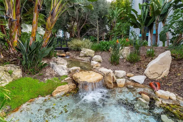a view of a backyard with plants and trees