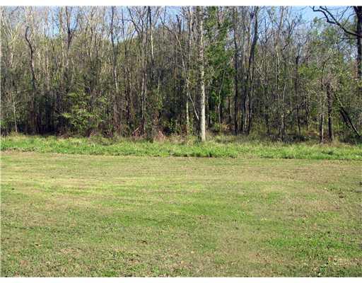 217 Allie Lane Luling, LA 70070 - Photo 13 of 16