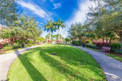 a garden with palm trees
