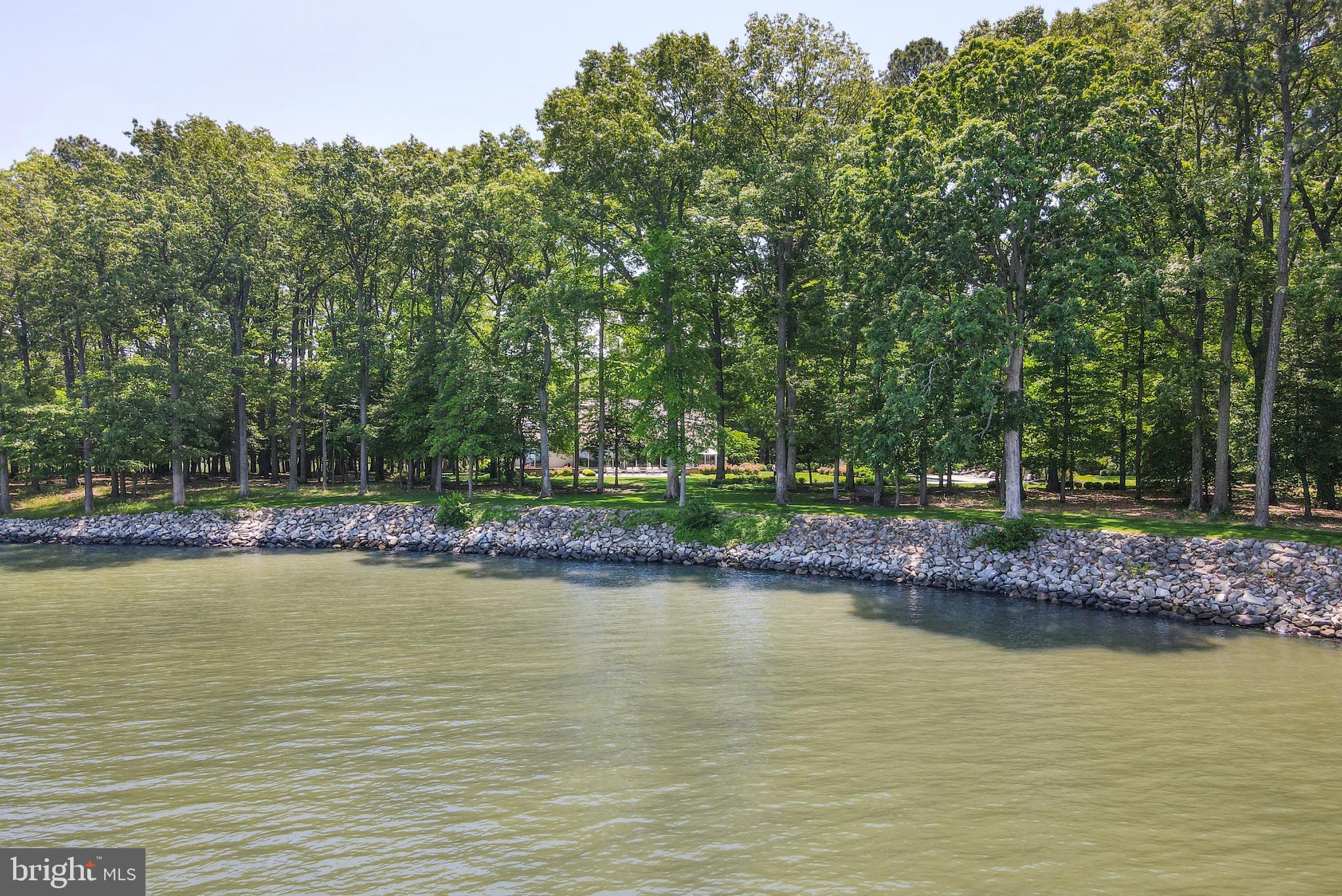7872 Bozman Neavitt Road Bozman, MD 21612 - Photo 13 of 51 Riprapped Shoreline