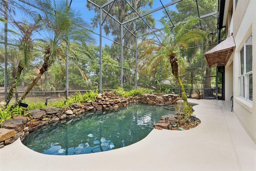 216 Juniper Ridge Court Sanford, FL 32771 - Photo 7 of 61 a view of a back yard of the house