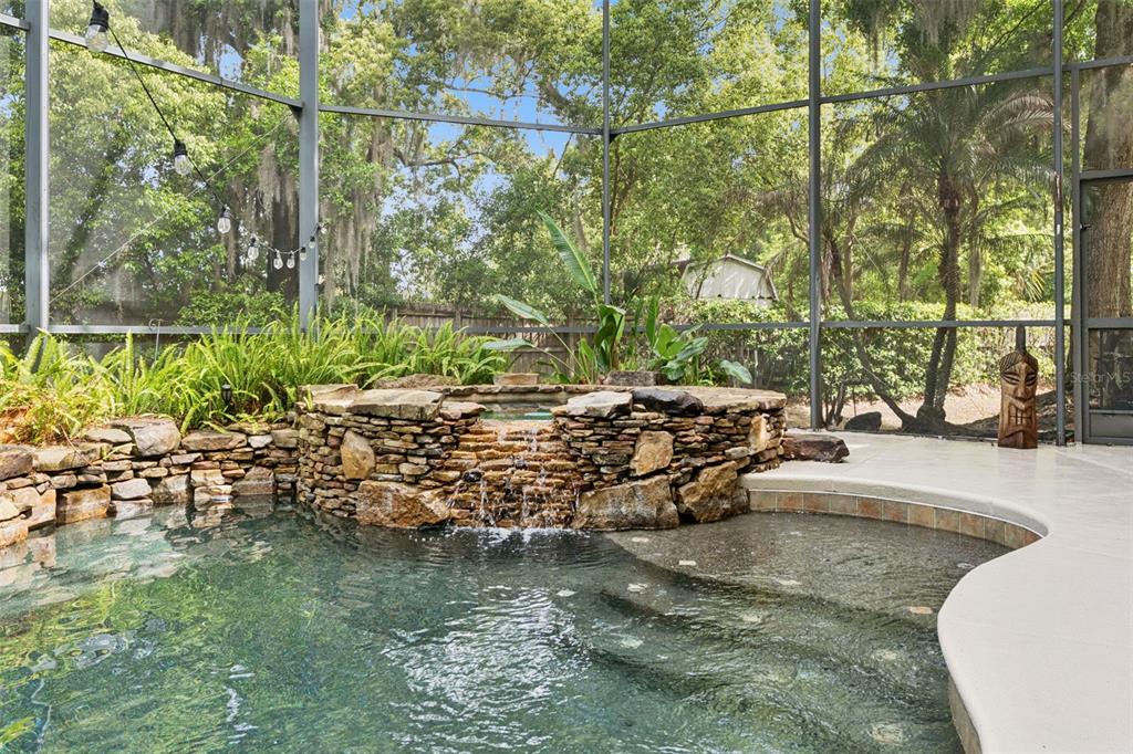 216 Juniper Ridge Court Sanford, FL 32771 - Photo 9 of 61 a view of a yard with large trees