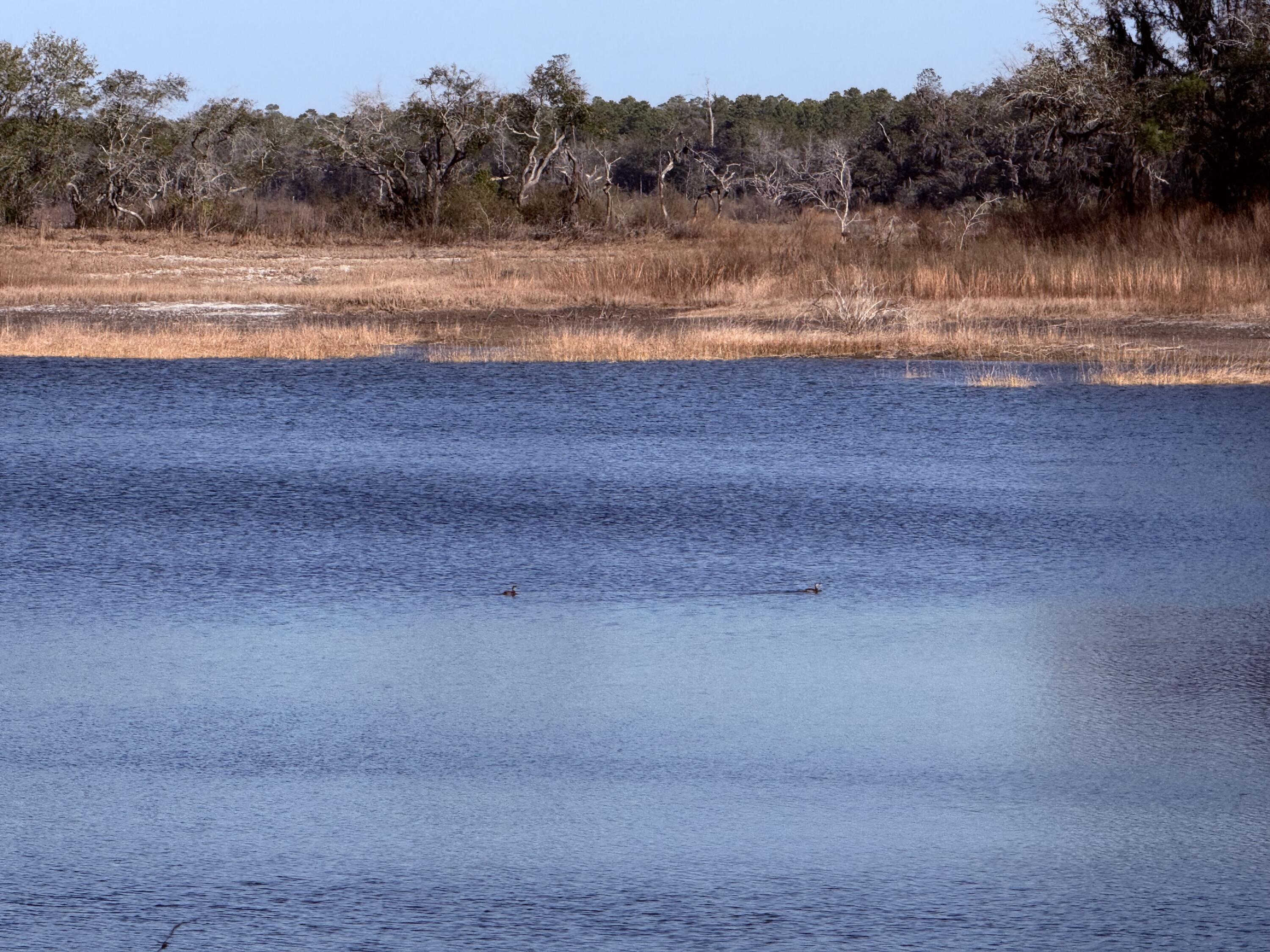 6695 Highway 77 Chipley, FL 32428 - Photo 11 of 14 IMG_4455
