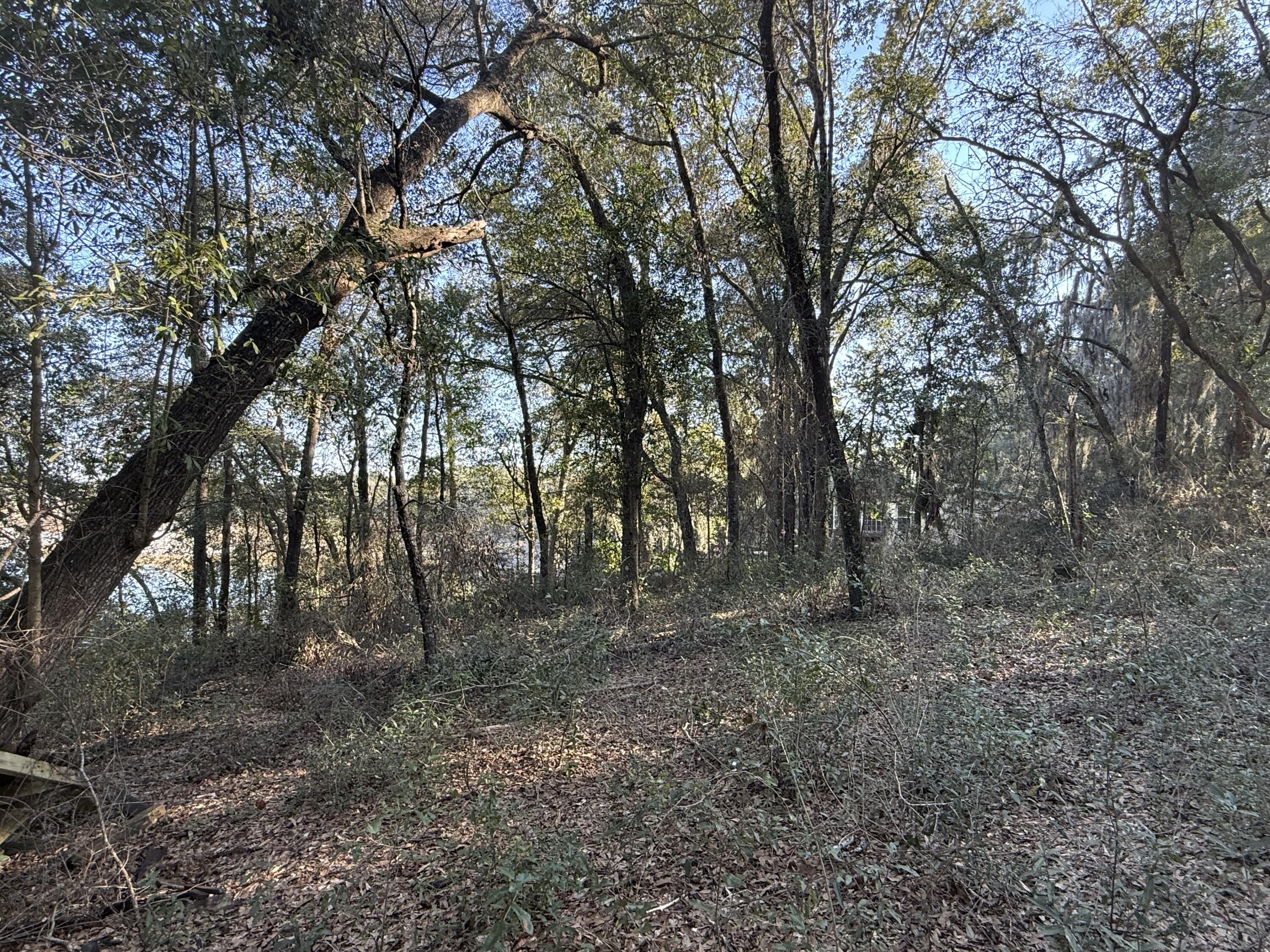 6695 Highway 77 Chipley, FL 32428 - Photo 12 of 14 IMG_4466