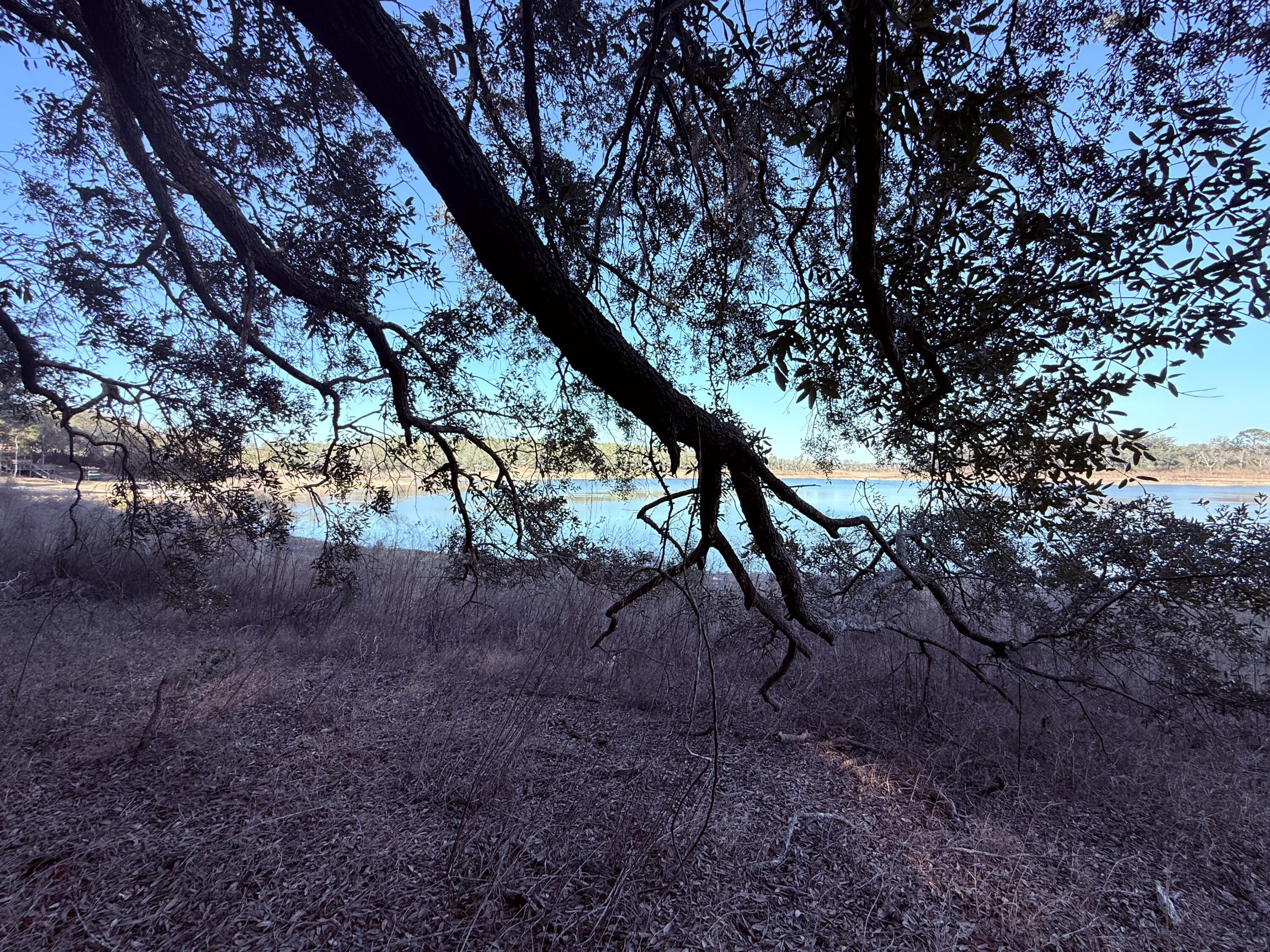 6695 Highway 77 Chipley, FL 32428 - Photo 3 of 14 IMG_4449