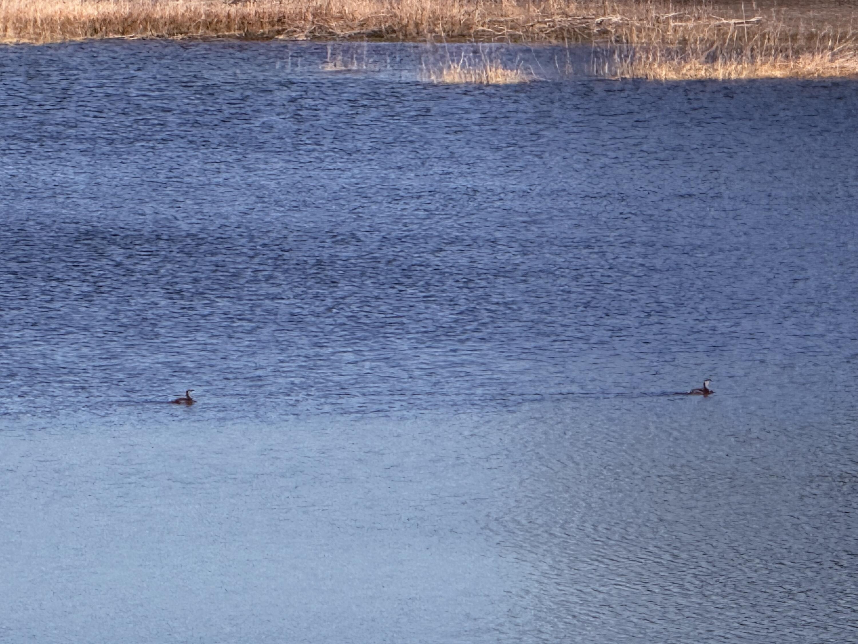 6695 Highway 77 Chipley, FL 32428 - Photo 7 of 14 IMG_4456