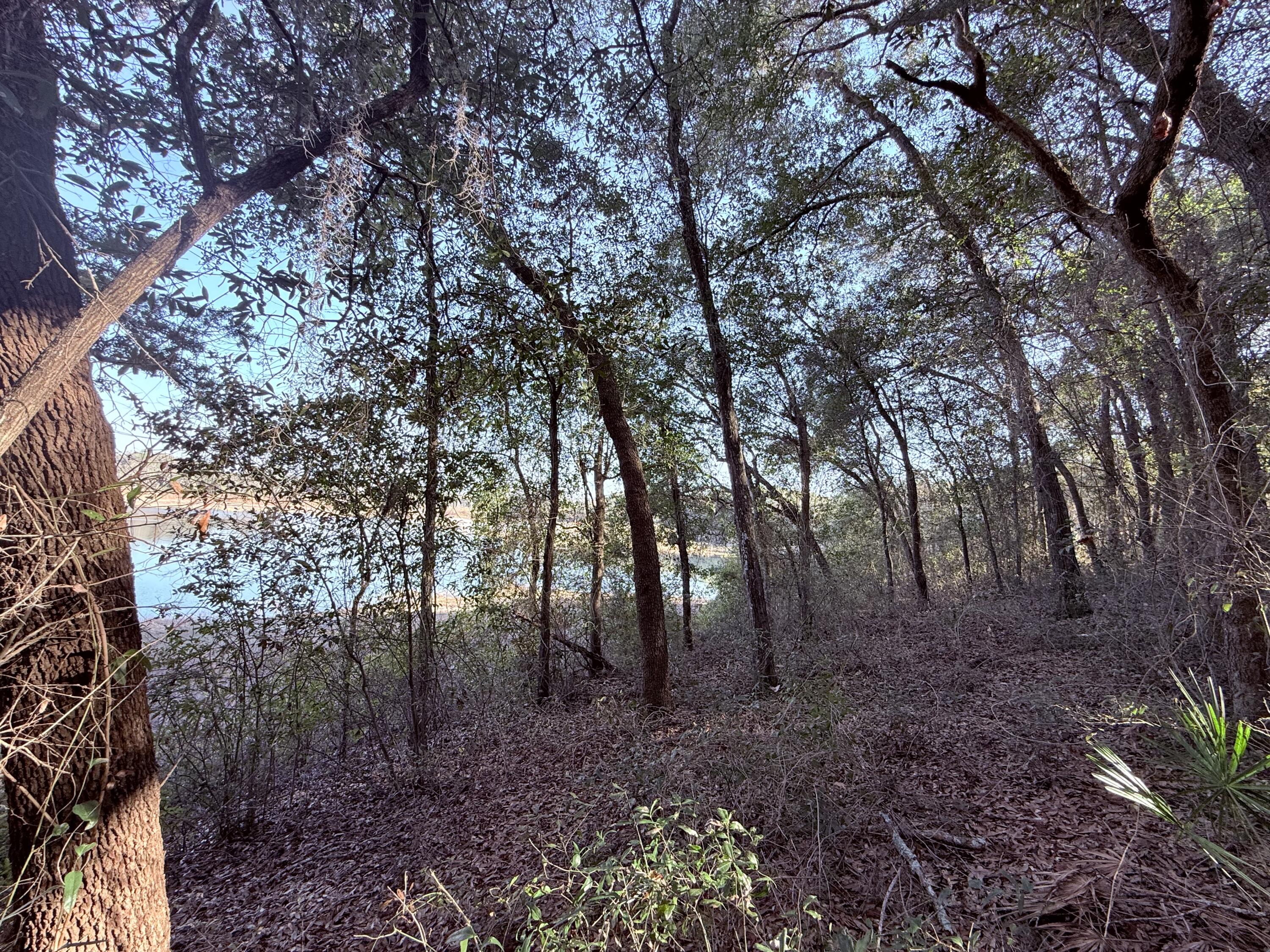 6695 Highway 77 Chipley, FL 32428 - Photo 8 of 14 IMG_4464