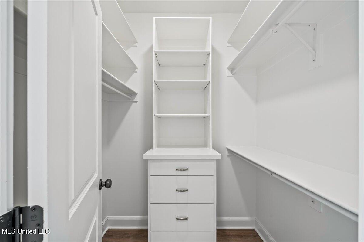 14691 Hidden Loop Byhalia, MS 38611 - Photo 35 of 66 Primary Closet