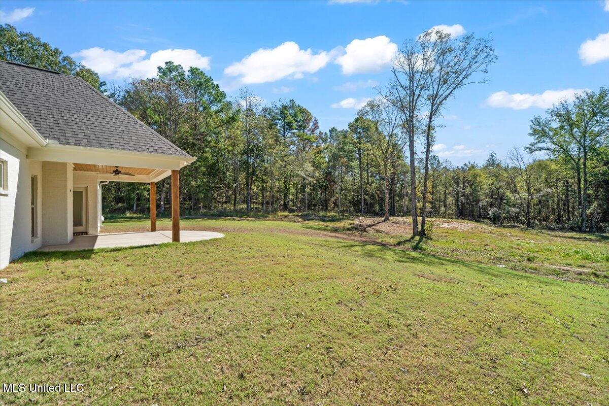 14691 Hidden Loop Byhalia, MS 38611 - Photo 50 of 66 Backyard b
