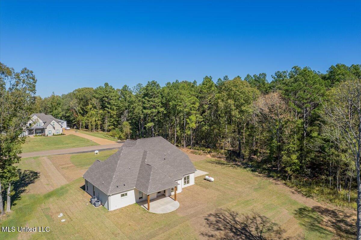 14691 Hidden Loop Byhalia, MS 38611 - Photo 61 of 66 Aerial - Rear View
