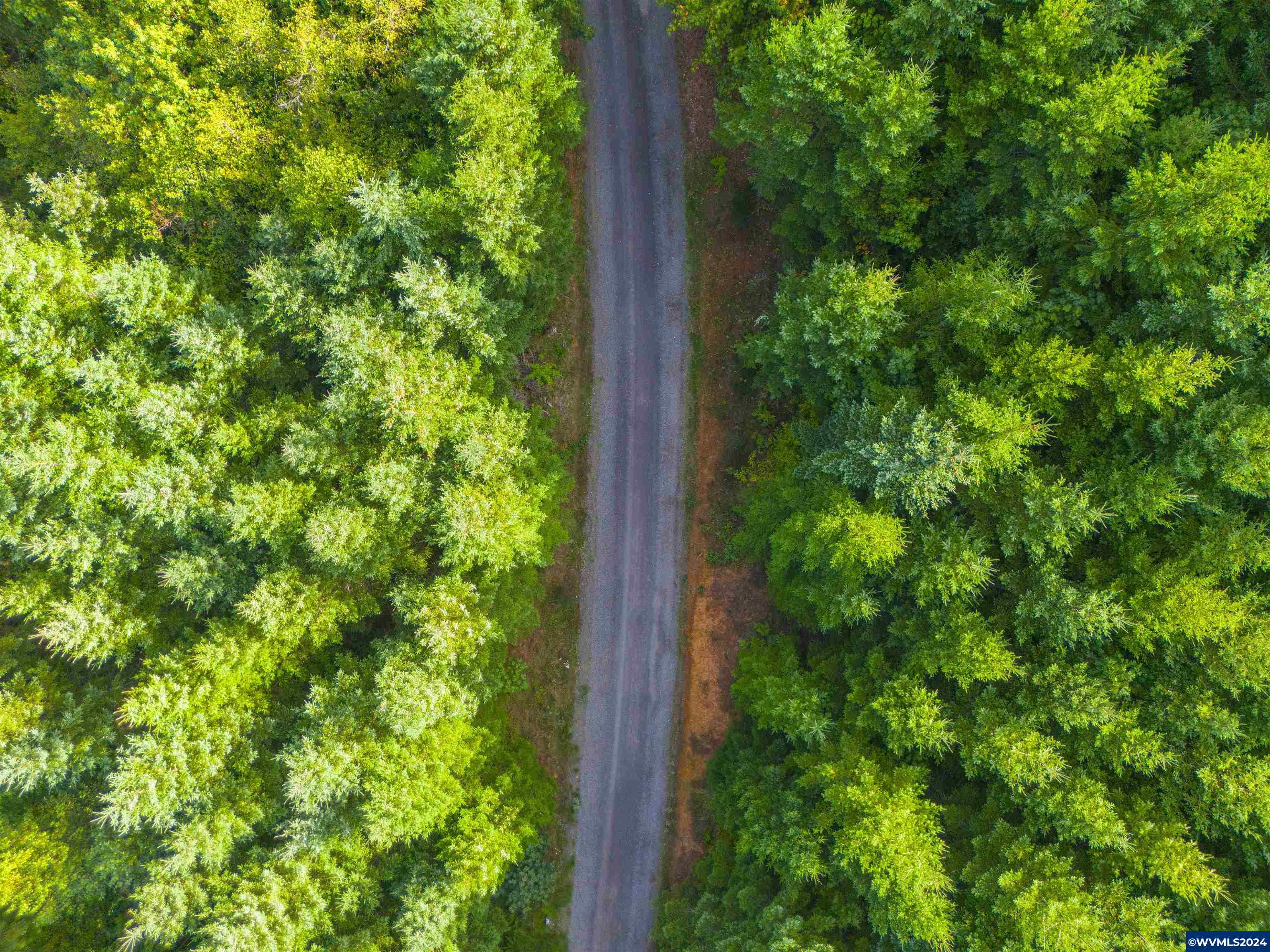 0 Northwest Meadowlake Road Yamhill, OR 97148 - Photo 13 of 14
