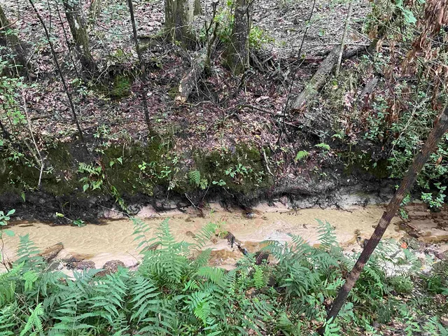 $325,000 | 1734 West King Street, Quincy, FL 32351