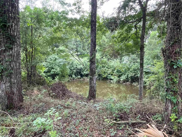 $325,000 | 1734 West King Street, Quincy, FL 32351