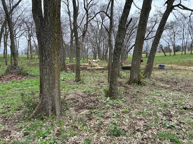3669 Ironworks Road Georgetown, KY 40324 - Photo 12 of 19 image001