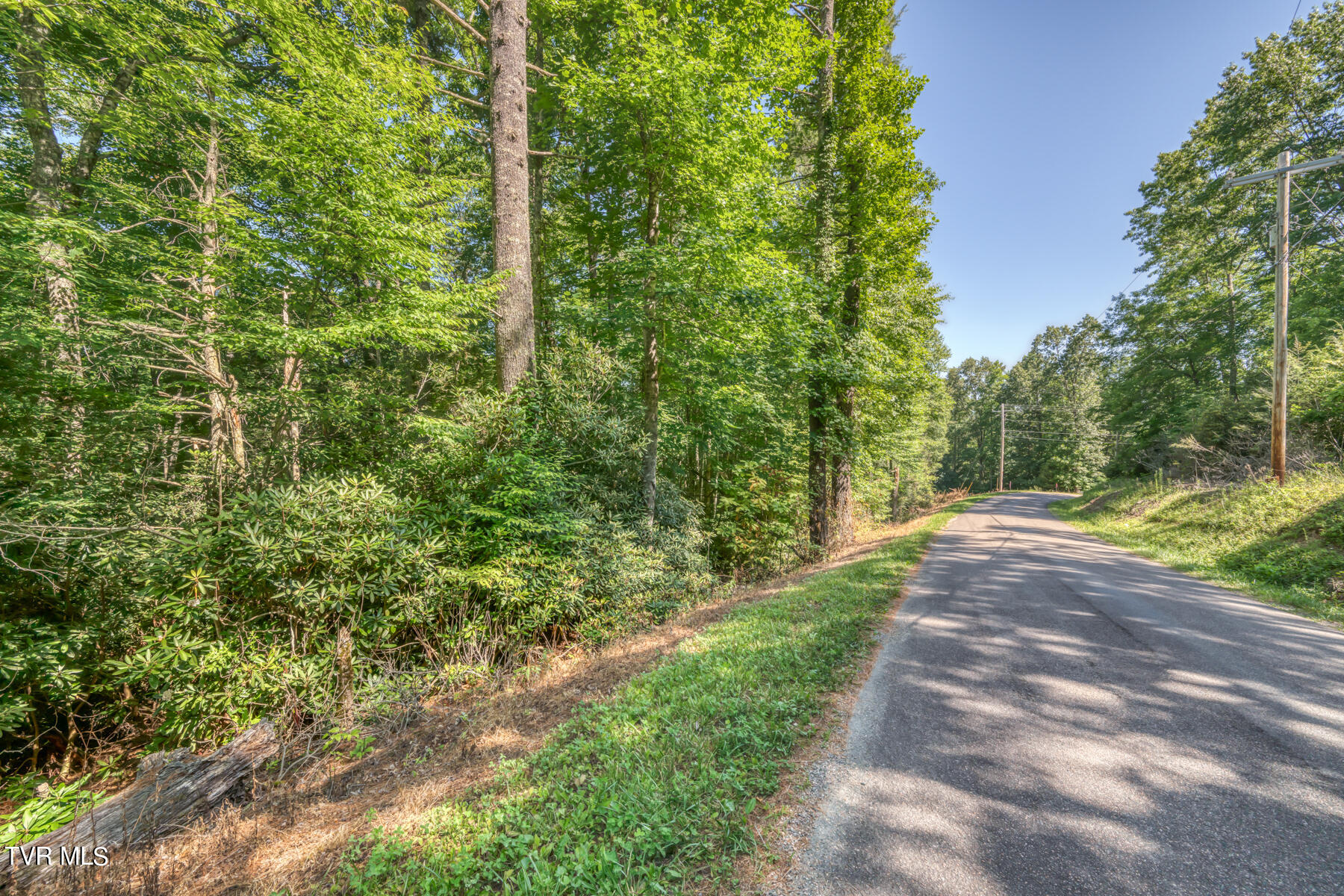 Tbd Sink Valley Road Butler, TN 37640 - Photo 13 of 23 TBD Sink Valley Rd-13