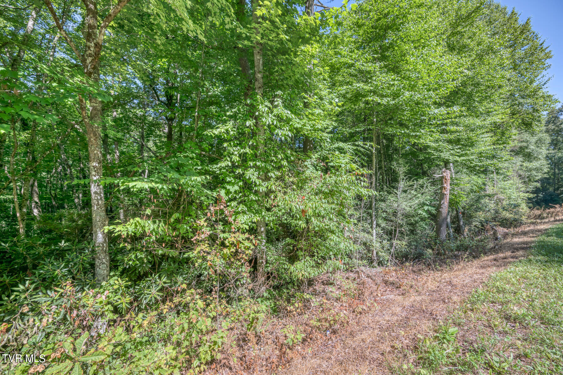 Tbd Sink Valley Road Butler, TN 37640 - Photo 14 of 23 TBD Sink Valley Rd-14