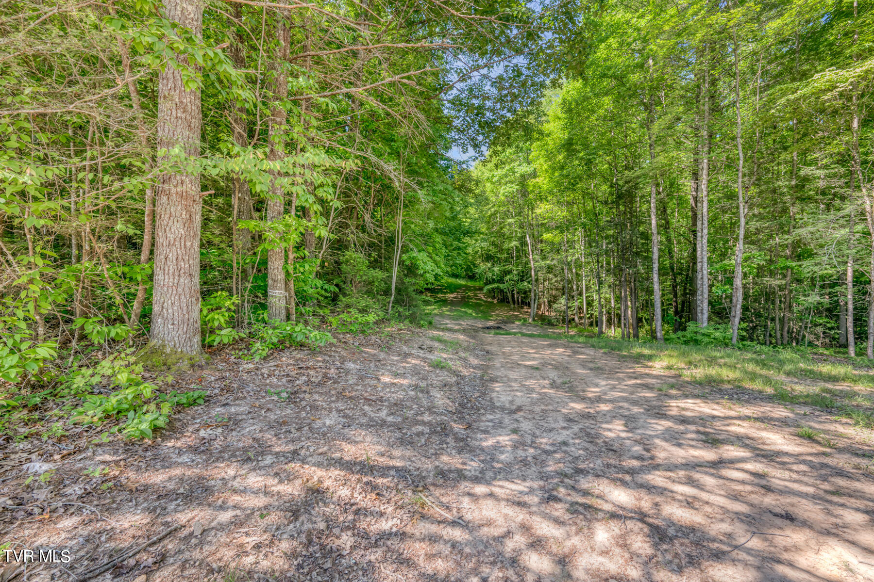 Tbd Sink Valley Road Butler, TN 37640 - Photo 15 of 23 TBD Sink Valley Rd-15