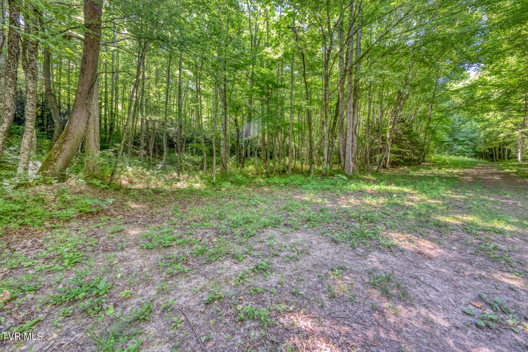 Tbd Sink Valley Road Butler, TN 37640 - Photo 16 of 23 TBD Sink Valley Rd-16