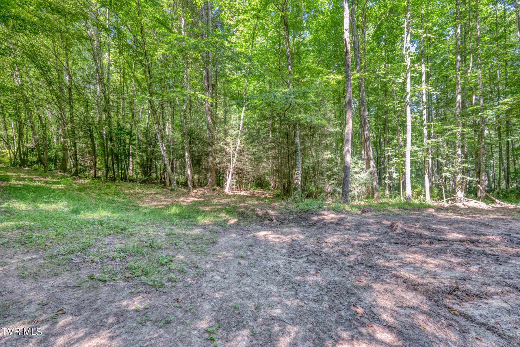 Tbd Sink Valley Road Butler, TN 37640 - Photo 17 of 23 TBD Sink Valley Rd-17