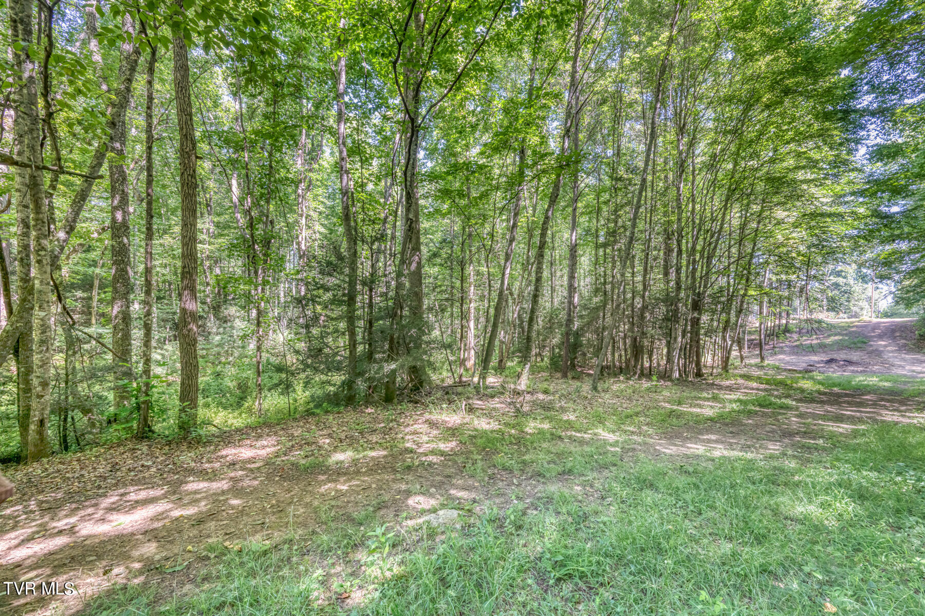 Tbd Sink Valley Road Butler, TN 37640 - Photo 18 of 23 TBD Sink Valley Rd-18