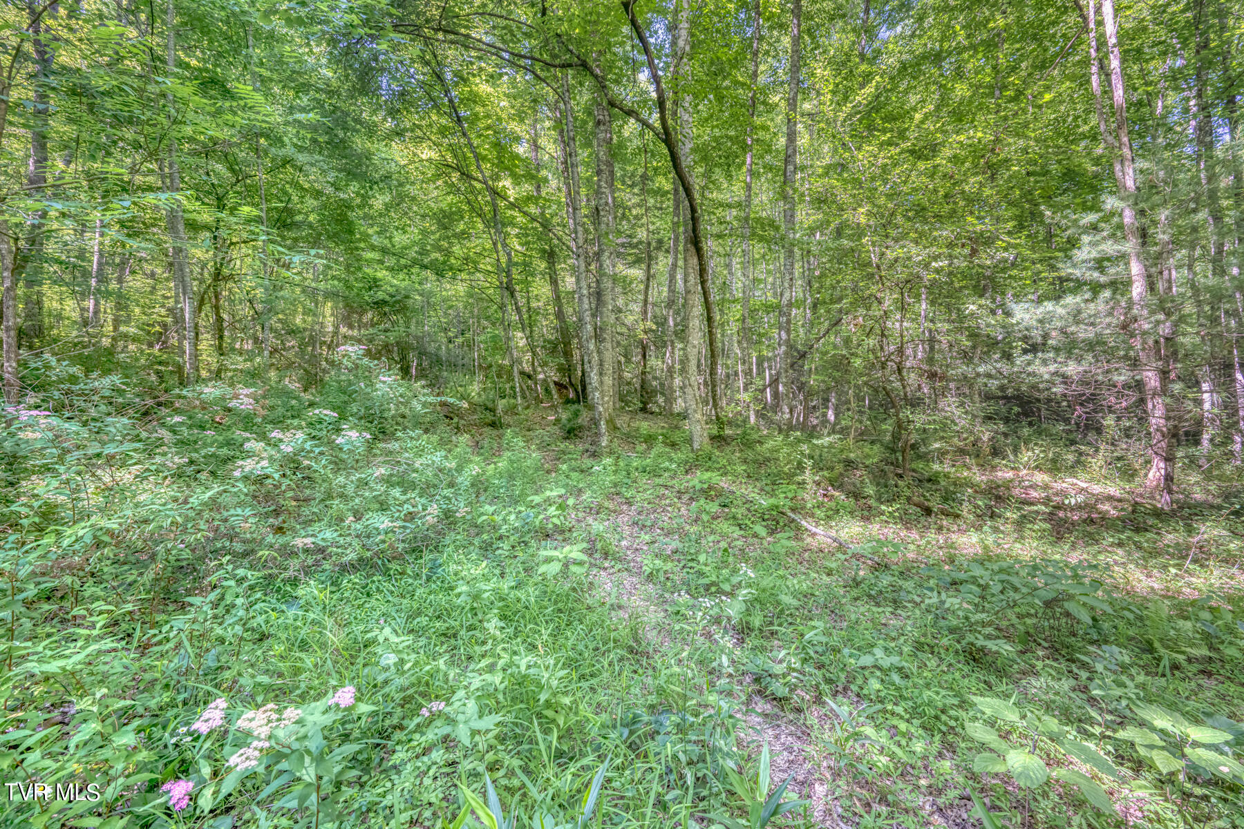 Tbd Sink Valley Road Butler, TN 37640 - Photo 19 of 23 TBD Sink Valley Rd-19