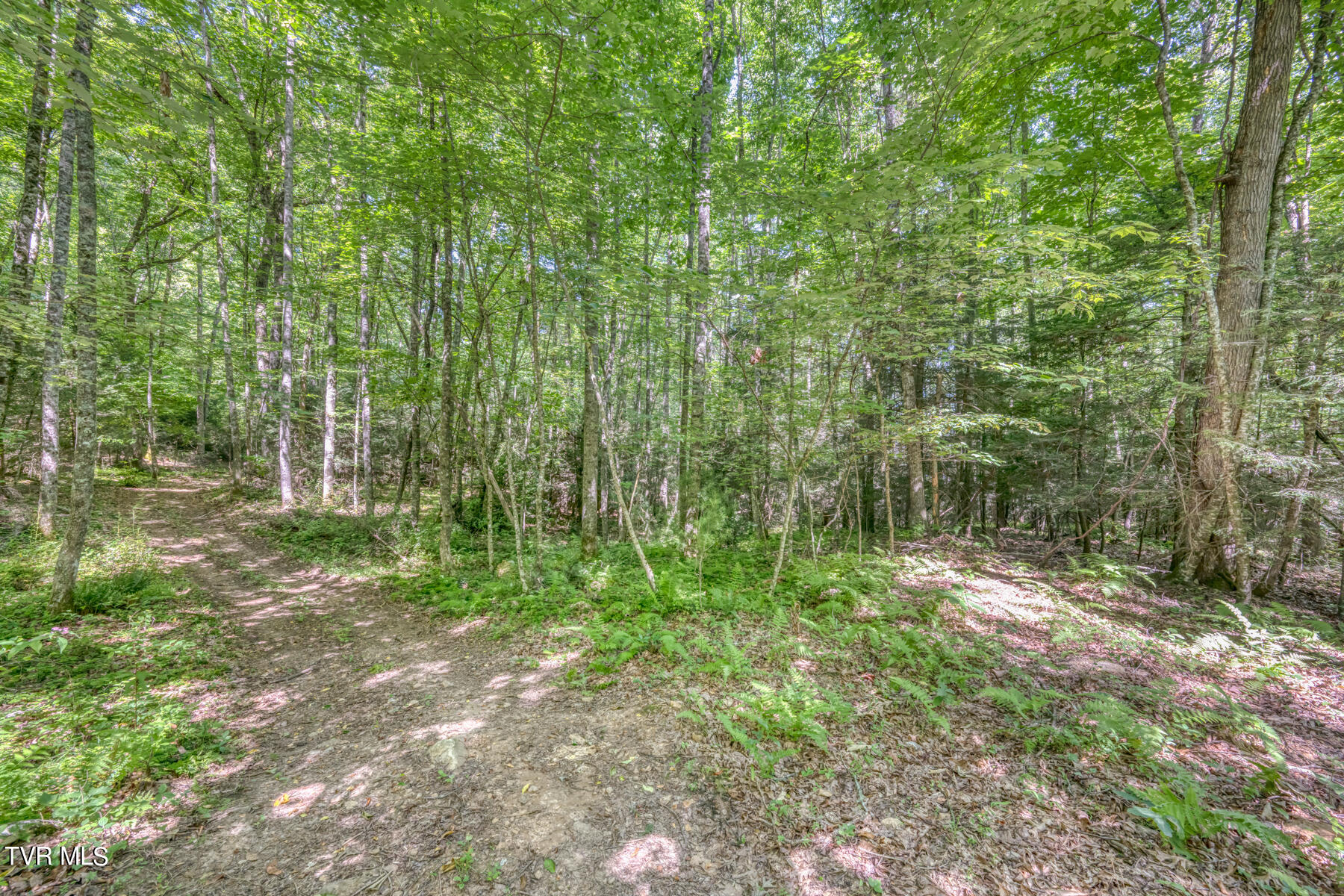 Tbd Sink Valley Road Butler, TN 37640 - Photo 20 of 23 TBD Sink Valley Rd-20