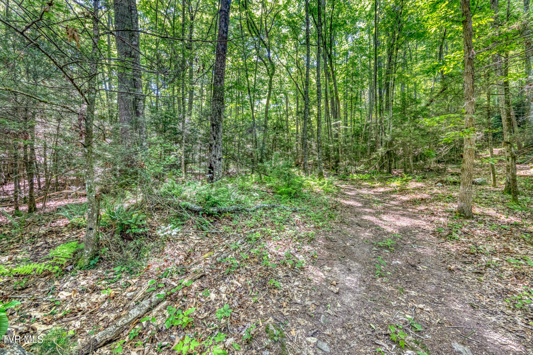 Tbd Sink Valley Road Butler, TN 37640 - Photo 21 of 23 TBD Sink Valley Rd-21