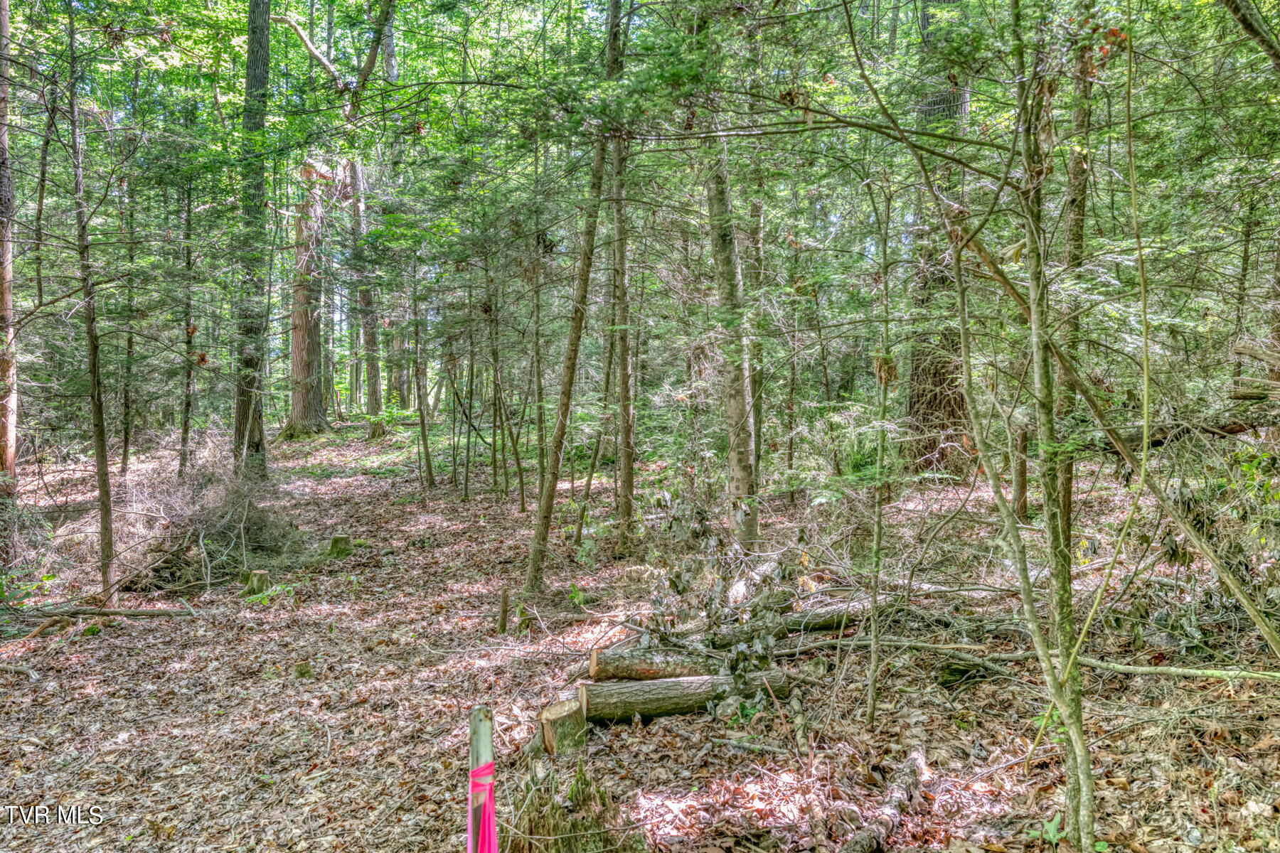 Tbd Sink Valley Road Butler, TN 37640 - Photo 23 of 23 TBD Sink Valley Rd-23