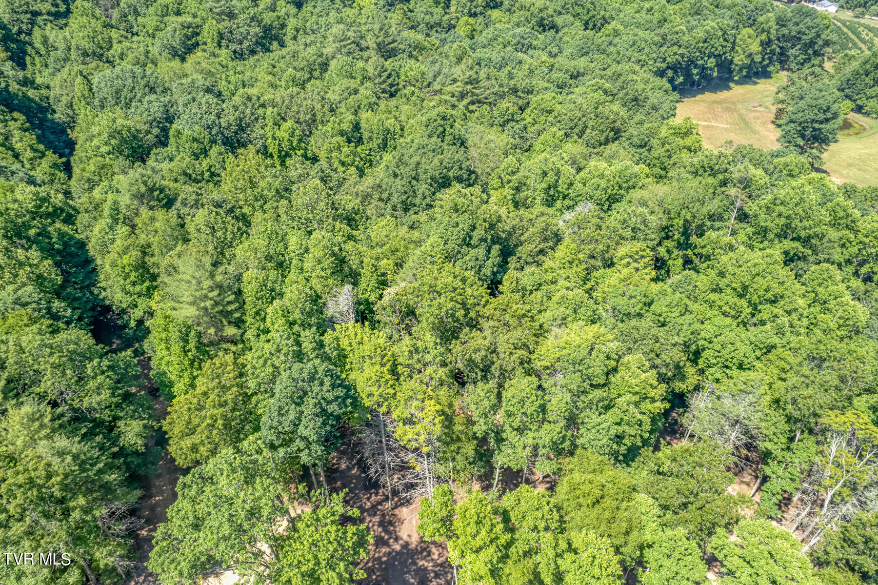 Tbd Sink Valley Road Butler, TN 37640 - Photo 4 of 23 TBD Sink Valley Rd-2