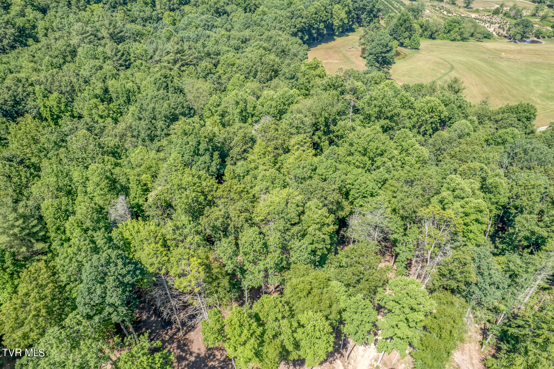 Tbd Sink Valley Road Butler, TN 37640 - Photo 5 of 23 TBD Sink Valley Rd-3