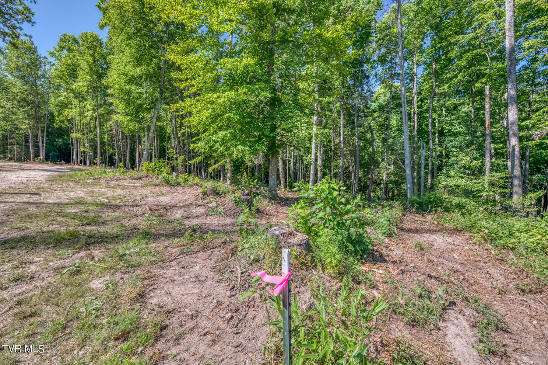 Tbd Sink Valley Road Butler, TN 37640 - Photo 7 of 23 TBD Sink Valley Rd-6