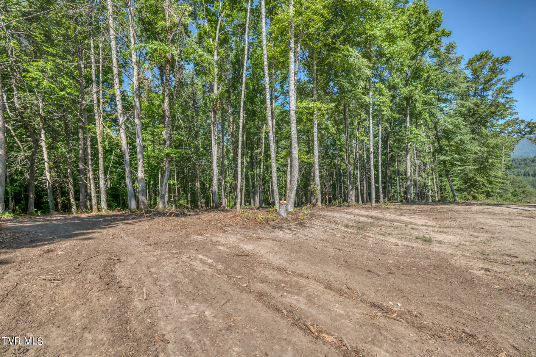 Tbd Sink Valley Road Butler, TN 37640 - Photo 8 of 23 TBD Sink Valley Rd-8