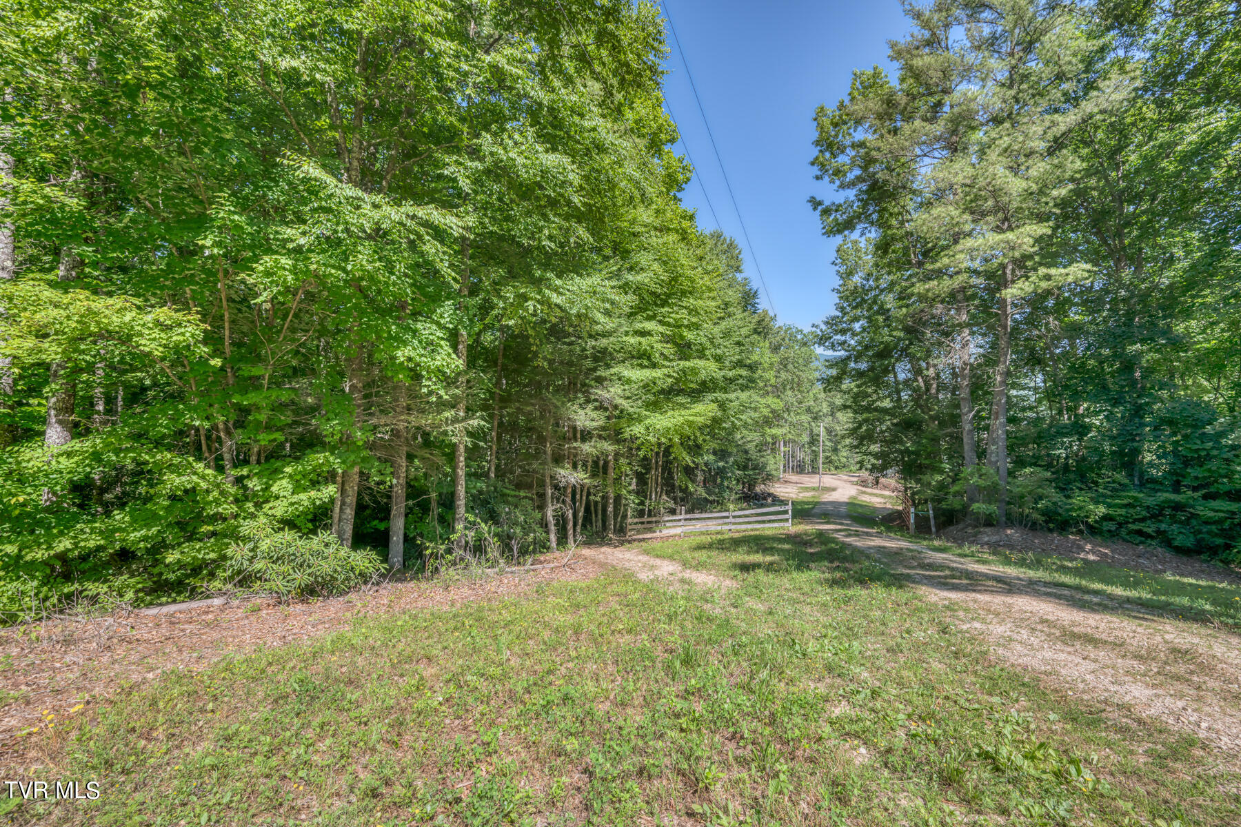 Tbd Sink Valley Road Butler, TN 37640 - Photo 10 of 23 TBD Sink Valley Rd-10