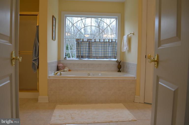 1944 Jones Road Winchester, VA 22602 - Photo 22 of 30 Bath (Master)