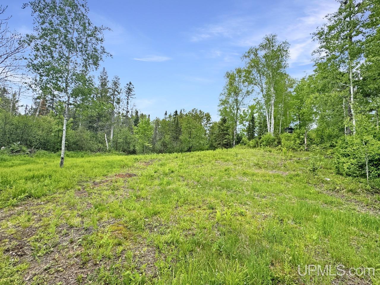 730 Premo Creek Road Crystal Falls, MI 49920 - Photo 43 of 91