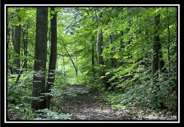 0 Old Union Road Ironton, OH 45638 - Photo 45 of 65 image045